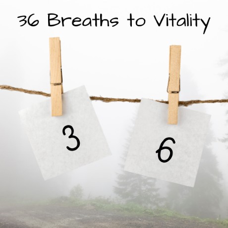 36 Breaths to Vitality